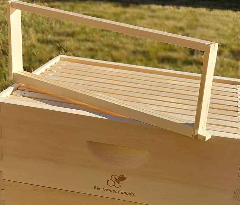 Medium Beehive Frames — Assembled & Unassembled | Bee Frames Canada