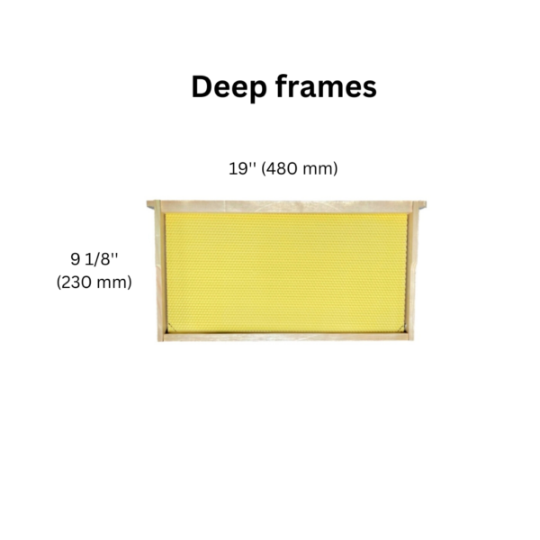 Deep Frames In the heart of the hive